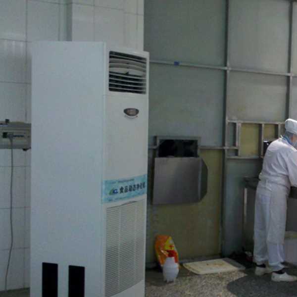 威海食品正负离子空气杀菌器